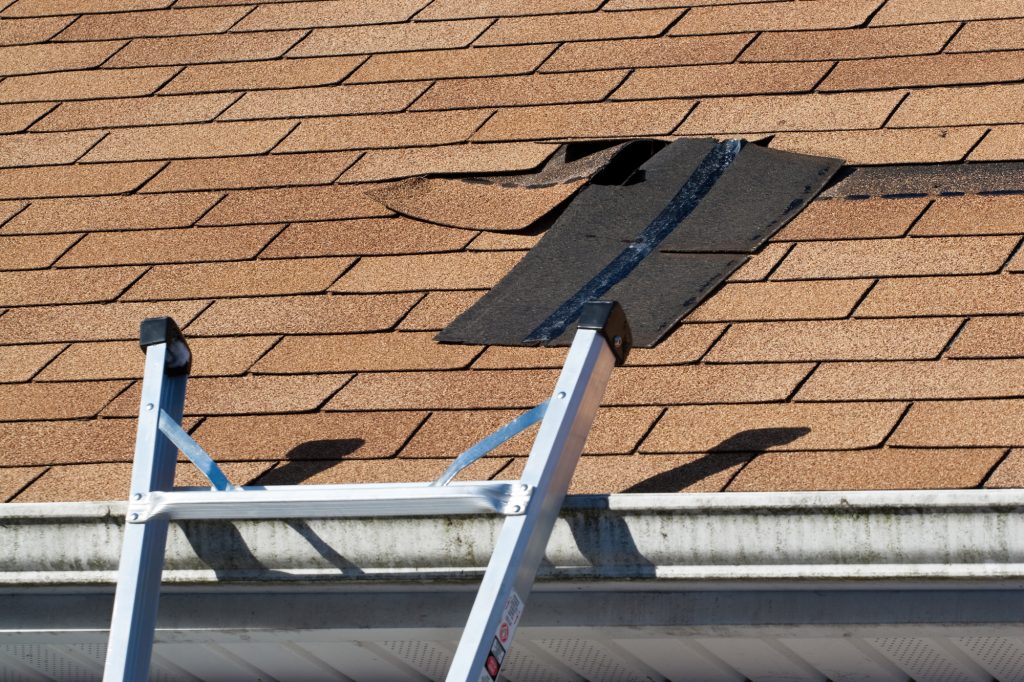 Protecting Your Home from a Leaking Roof