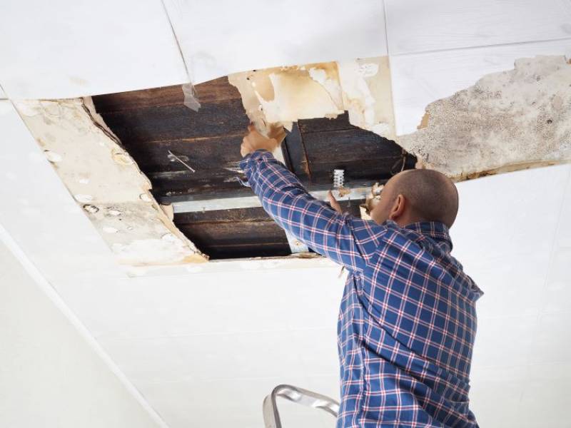 Protecting Your Home from a Leaking Roof