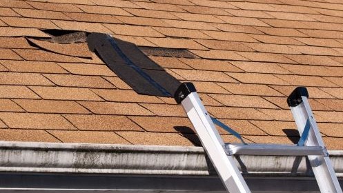 The Importance of Timely Roof Repair for Leaking Roofs