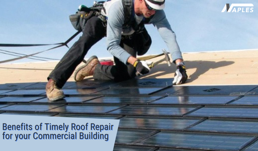 The Importance of Timely Roof Repair for Leaking Roofs