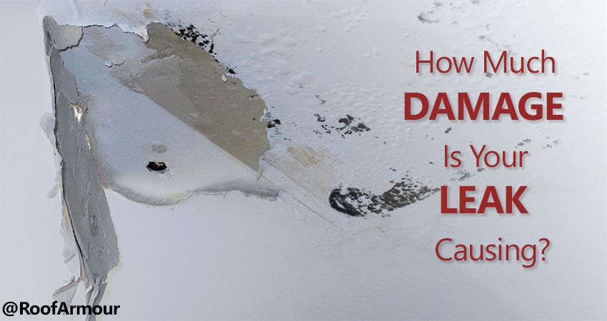 Dealing with the Effects of a Damaging Roof Leak