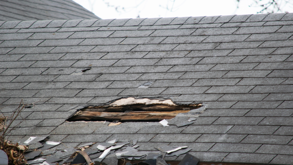 Does homeowners insurance protect against roof leaks caused by storms?