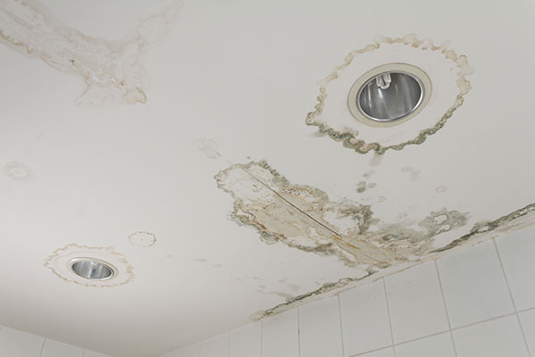 Finding Help for a Water Leak in My Ceiling