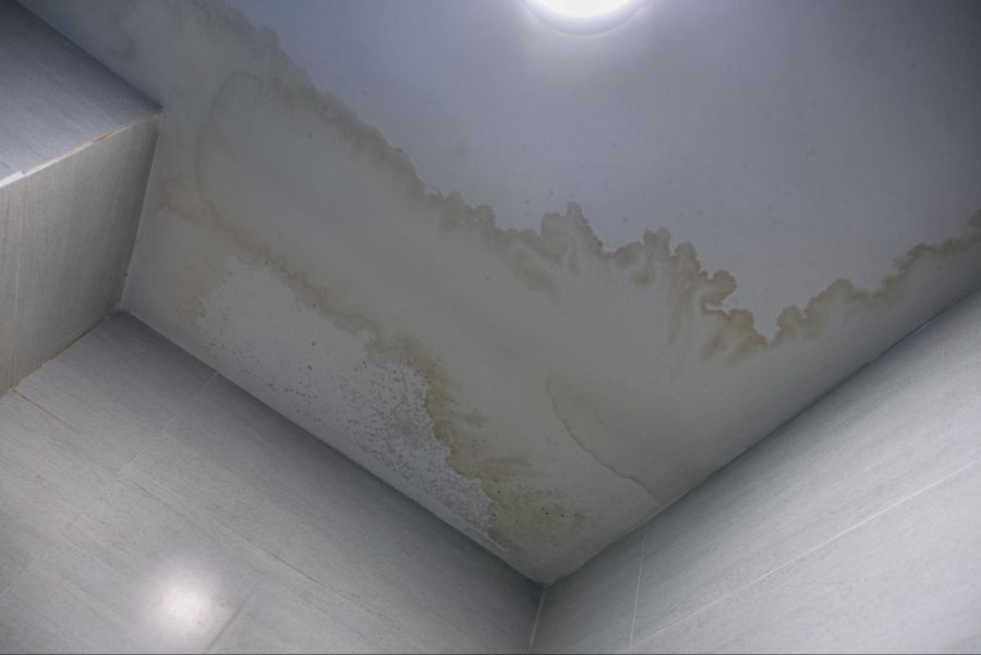 Finding Help for a Water Leak in My Ceiling