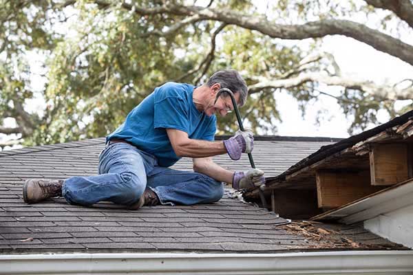 How to identify if your roof is rotting
