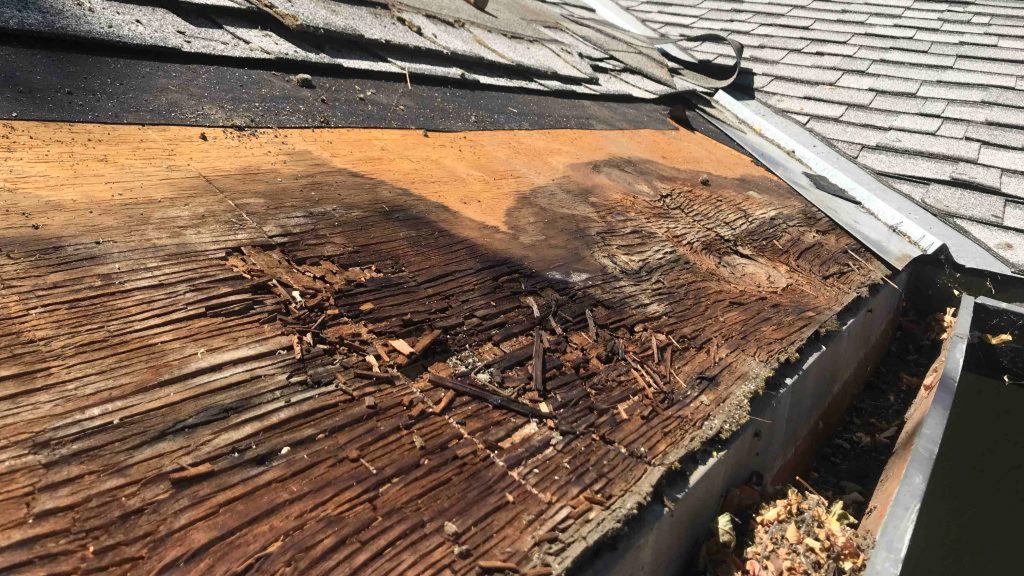 How to identify if your roof is rotting