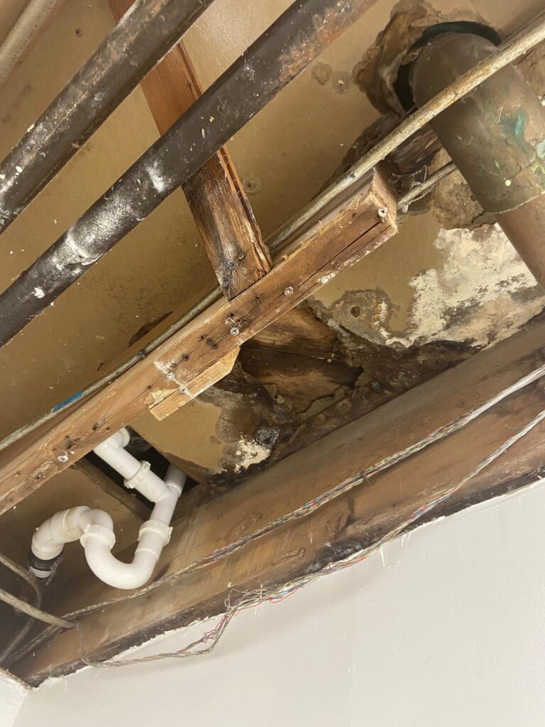 Investigating the Timeliness of Mold Growth from a Leaking Roof