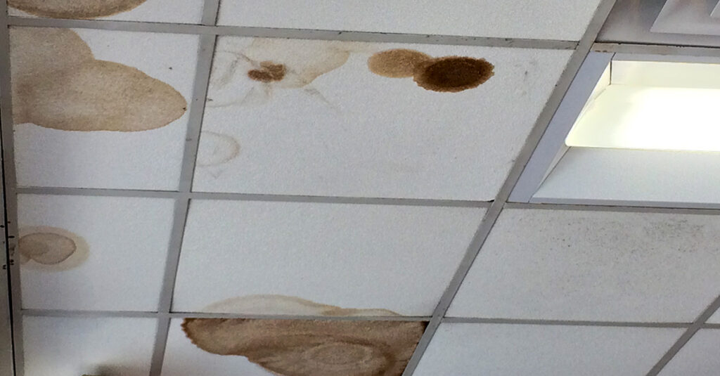 Signs of mold growth due to a leaky roof