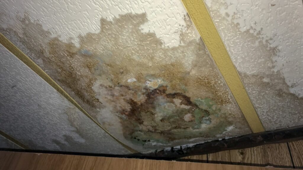 Signs of mold growth due to a leaky roof