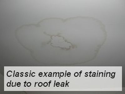 Signs of mold growth due to a leaky roof