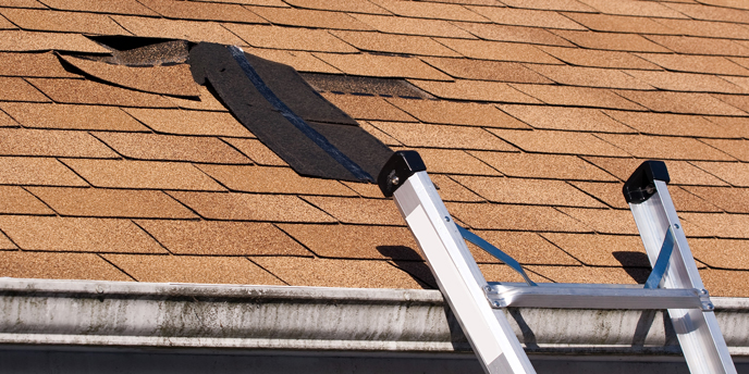 Step-by-Step Guide to Finding a Roof Leak