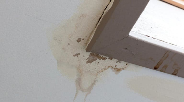 Tips for distinguishing between a roof leak and a pipe leak
