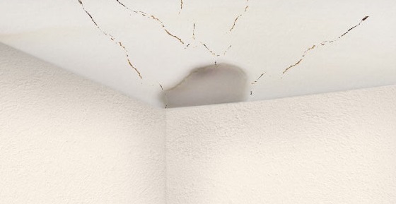 Understanding the risks of a water damaged ceiling